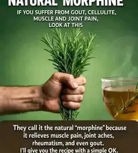 Rosemary Herbal Tea
