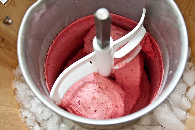 Thermomix Strawberry Ice Cream