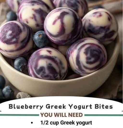 Blueberry Yogurt Bite
